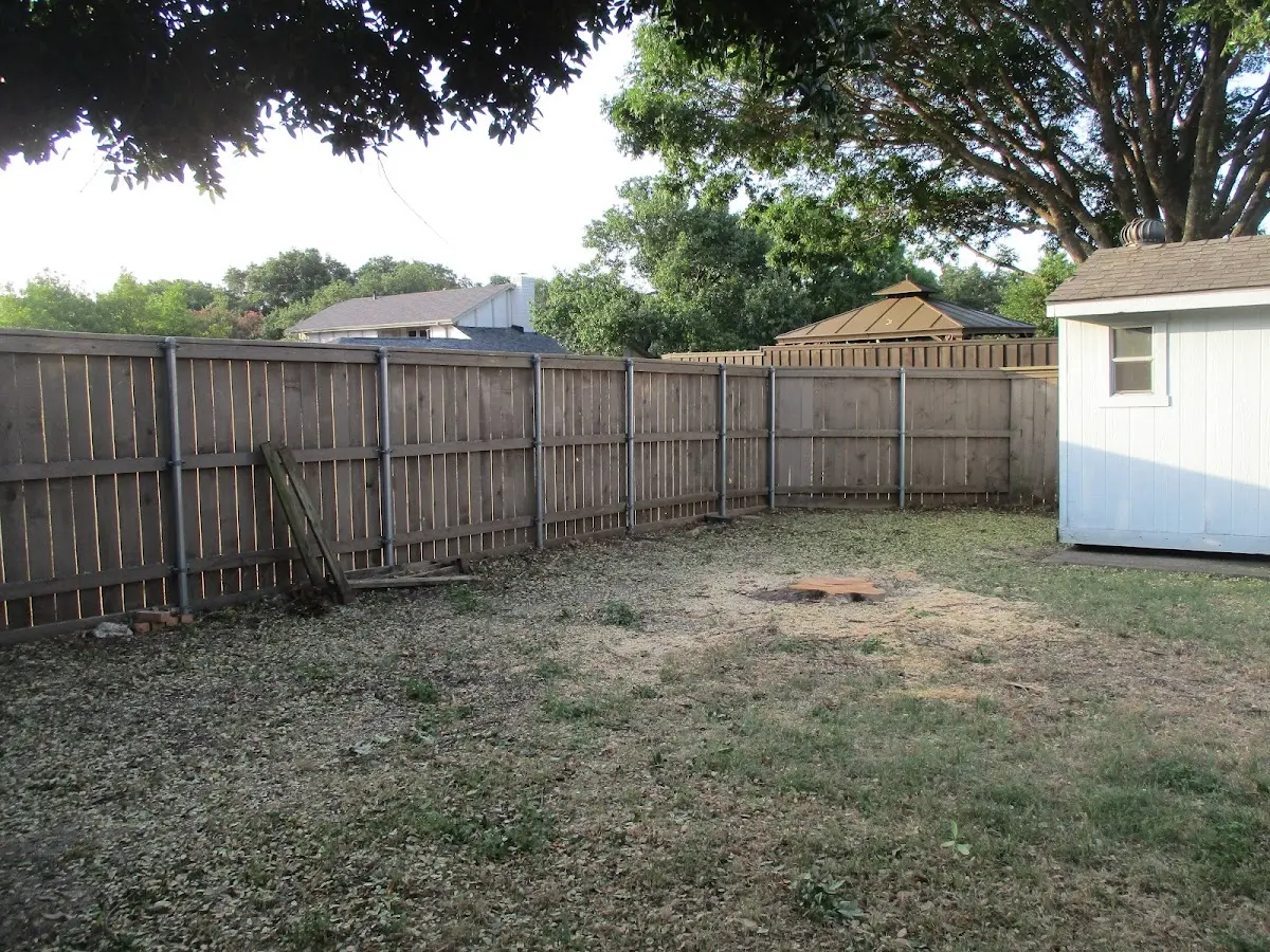 Cleared yard after professional tree removal in Agoura Hills